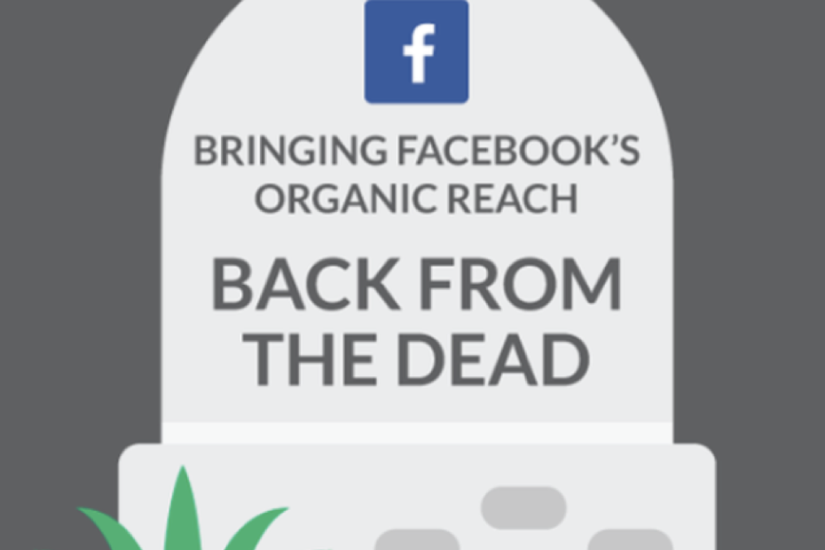 fb organic marketing